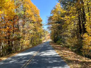 Fototapeta premium The view of the changing leaves from a vehicle on the Blue Ridge Parkway.