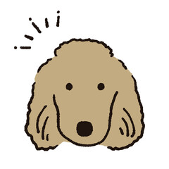 プードルのイラスト