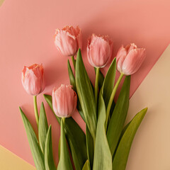 bouquet of pink tulips