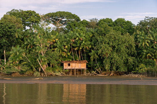Casa simples as magens do rio na floresta amazonica no estado do Par&aacute; o Brasil