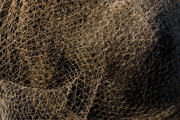 leopard skin texture