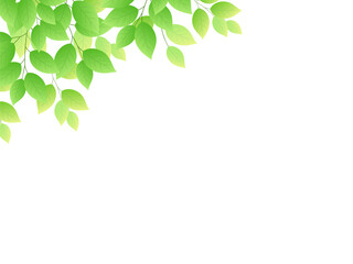 爽やかな新緑のフレーム_ベクターイラスト