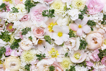 Delicate blooming festive roses and pink summer flowers, blossoming rose flower soft pastel background, bouquet floral card