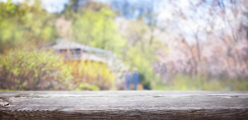 soft background with wooden surface on blurred background of sunny spring garden