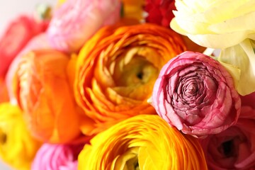 Beautiful fresh ranunculus flowers as background, closeup view