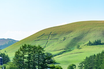 北海道中標津の牛の字のモアン山
