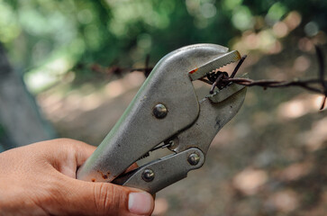 holding locking plier