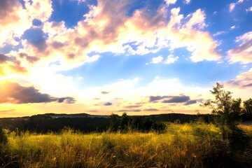 Obraz premium 草原と太陽 with generative ai