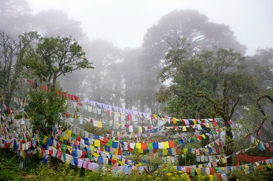 Buddhist prayer flags in the fog on Dochula Pass;  Bhutan