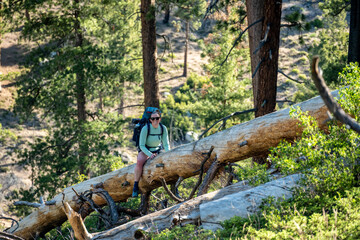 Woman Crossing Downed Tree On Trail