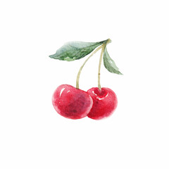 Beautiful clip art with hand drawn watercolor cherry. Stock illustration.