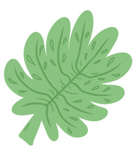 Tropic Leaf for Decoration. Illustration Tropic Leaf.
