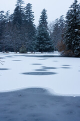 Frozen Pond Central Park, Burnaby