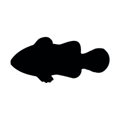 Vector hand drawn clown fish silhouette isolated on white background