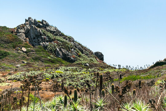 Puquen National Park near valparaiso in Chile., Latinoamerica, Southamerica. Its a long treeking where you can find a cold geyser made from a natural formation in the sea.