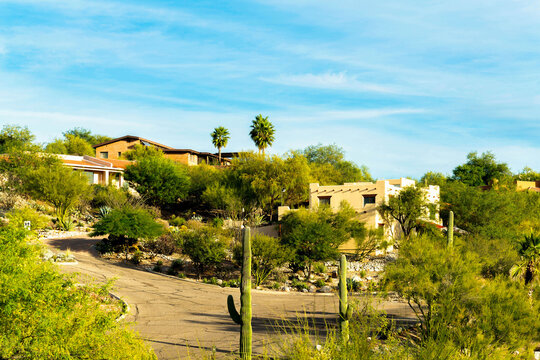 Desert Road In The Hills Of The Sonora Desert In The Hills Of Arizona With Visible Houses And Homes In Mansion Community