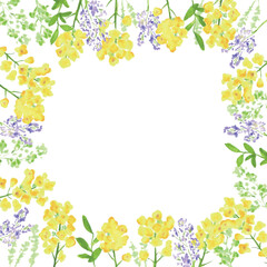 水彩画。菜の花の装飾ベクターイラストフレーム。水彩タッチの菜の花背景。Watercolor painting. Rape blossoms decoration vector illustration frame. Rape blossoms background with watercolor touch.