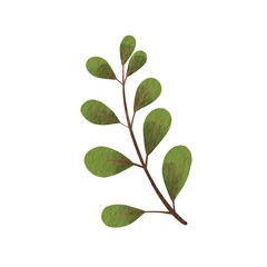 Naklejka premium Bunch of green leaves watercolor illustration for decoration on nature and floral concept.