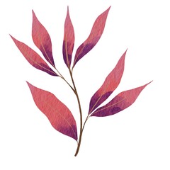 Bunch of pink and purple leaves watercolor illustration for decoration on nature and floral concept.