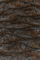Texture