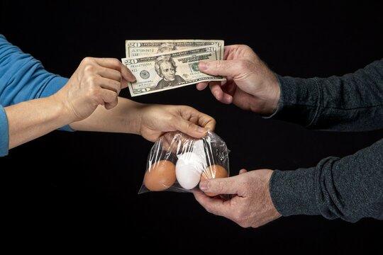 Concept photo of dealing expensive eggs.