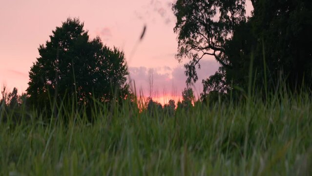 grassy field at sunset near the Joseph Smith family farm, frame house, temple, visitors center, and the sacred grove in Palmyra New York Origin locations for the Mormons and the book of Mormon.