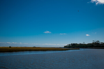 natural summer estuary landscape in Buenos Aires province