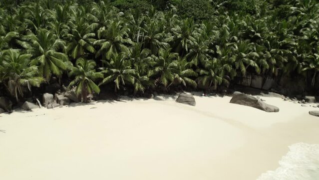 Mahe Seychelles, inductance beach, clients relaxing on the towels under the coconut palm tree during a hot sunny day