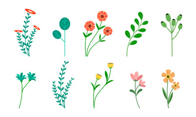 Set of wildflowers. Collection of flower gardens. Medicinal plants with colorful flowers. Flowers are isolated on a white background. Vector illustration