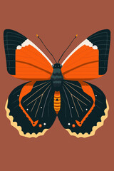 Fototapeta premium Butterfly. Vector illustration of a butterfly on a brown background.