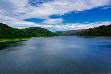 lake and forest