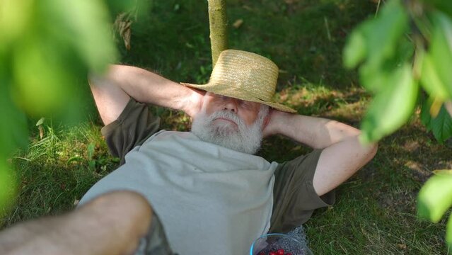 High angle view of carefree relaxed senior man in straw hat with closed eyes sleeping in summer spring garden. Happy Caucasian old gardener taking a nap outdoors on sunny day. Slow motion