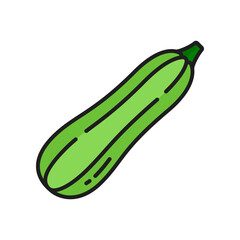 Green zucchini courgette raw veggie line icon