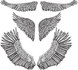Hand-drawn vintage angel wing set. Bird wings in ink.
