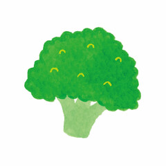 ブロッコリー　野菜　ベジタブル　手描き　イラスト