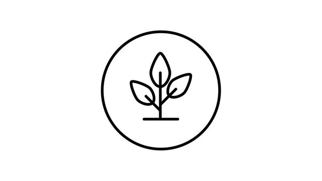 Sprout black and white line icon vector illustration in a circle, for web use for nature, leaf, plant, agriculture, ecologic, video animation, self drawing.
