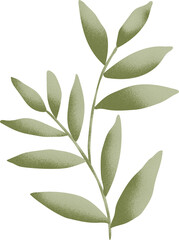 Leaf graphic design, transparent