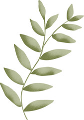 Leaf graphic design, transparent