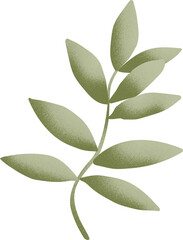 Leaf graphic design, transparent