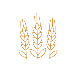 Spikelets of wheat icon. Ears of rye. Vector line. Editable outline stroke.