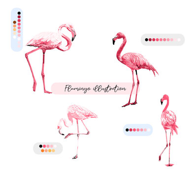 Sweet Flamingo illustration Vector Seamless Pattern  Animal Flamingo Pastel Color 