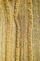 Aerial shot of a straw field left to dry