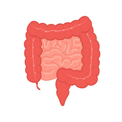Anatomy of the colon. Intestine icon. Human internal organ. Health bowel. Medical vector illustration in flat cartoon style.