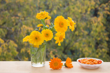 Fresh yellow flowers in glass vase and berries of sea ​​​​buckthorn in saucer. Autumn colorfull  сomposition. Outdoors.