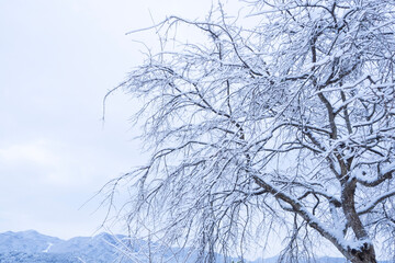 美しいふるさとの雪景色