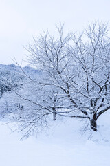 美しいふるさとの雪景色