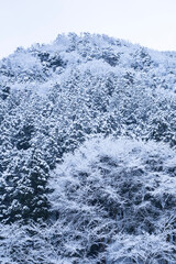 美しいふるさとの雪景色