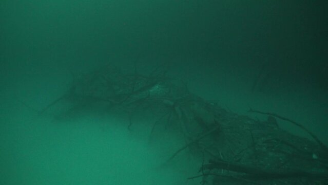 Cave diving in underwater caves of Yucatan Mexico cenotes. Divers in clean and clear underground water.