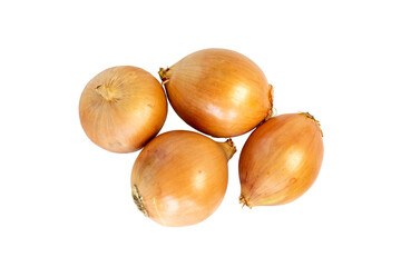 Onions on white isolated background