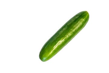 Single fresh green cucumber 